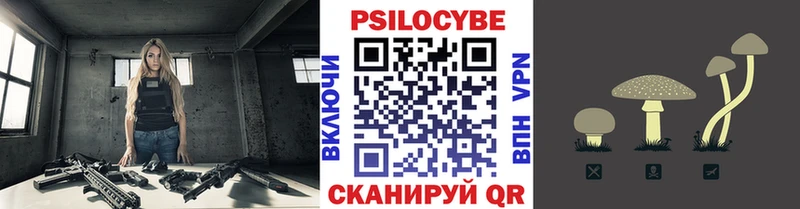 Псилоцибиновые грибы Psilocybine cubensis Волгореченск